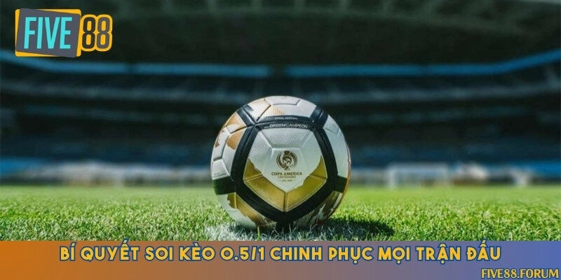Tuyển tập phương pháp soi kèo bóng đá 0.5/1 bất bại