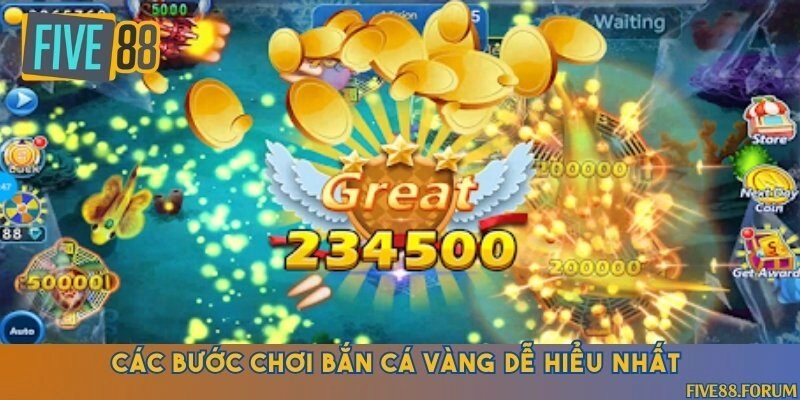 Hướng dẫn hành trình săn cá vàng bước đầu tại nhà cái