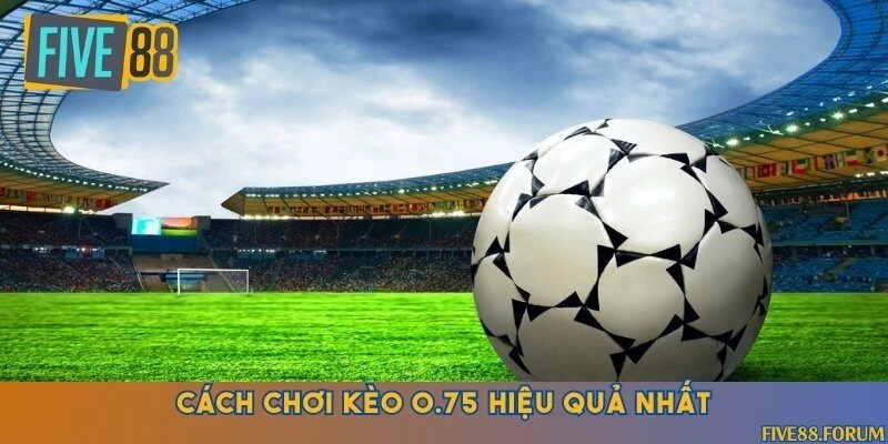 Hướng dẫn đặt cược kèo 0.75 trong trận đấu bóng đá